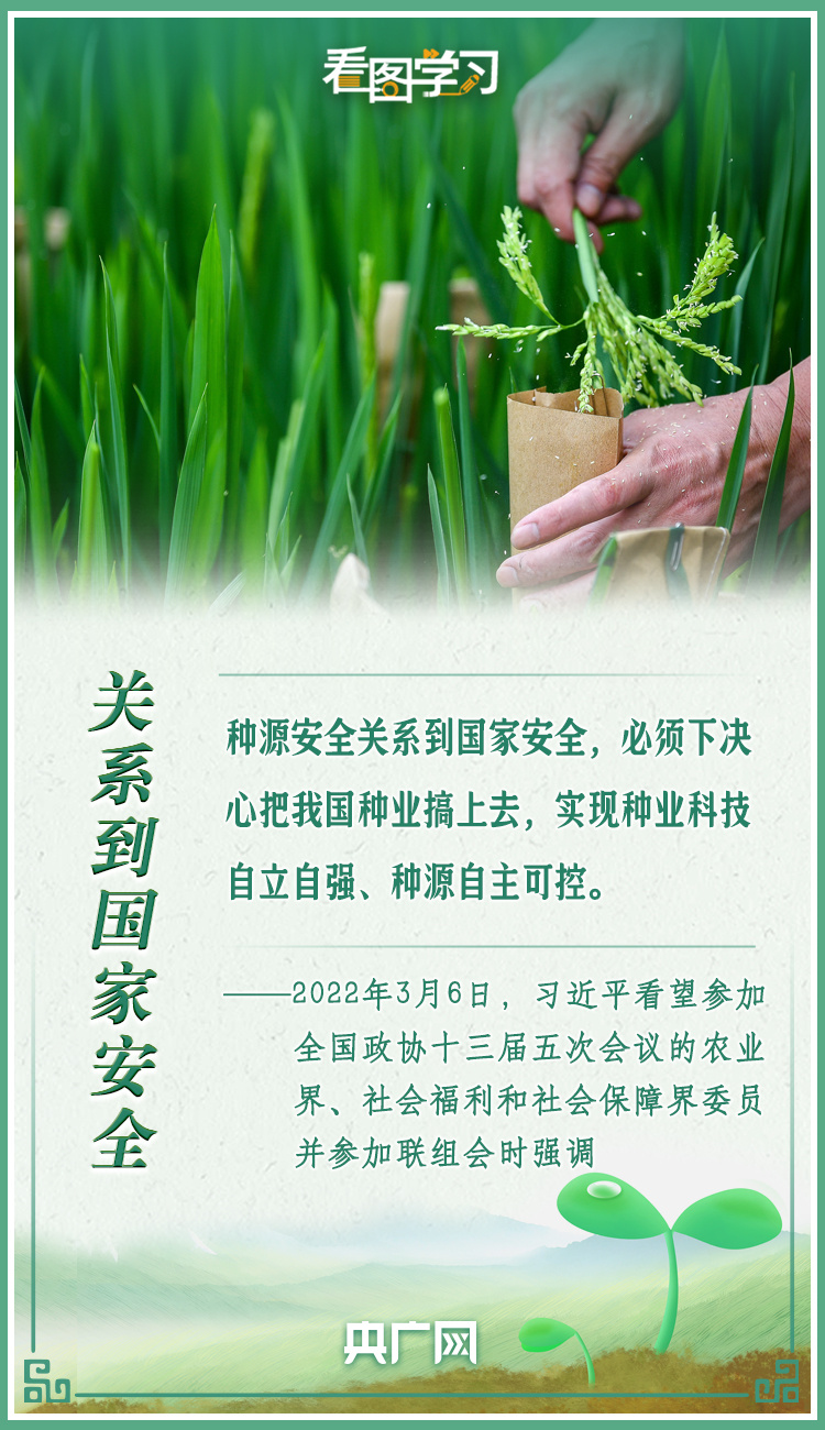 看圖學(xué)習(xí)|牢記總書記叮囑 攥緊種子端牢飯碗