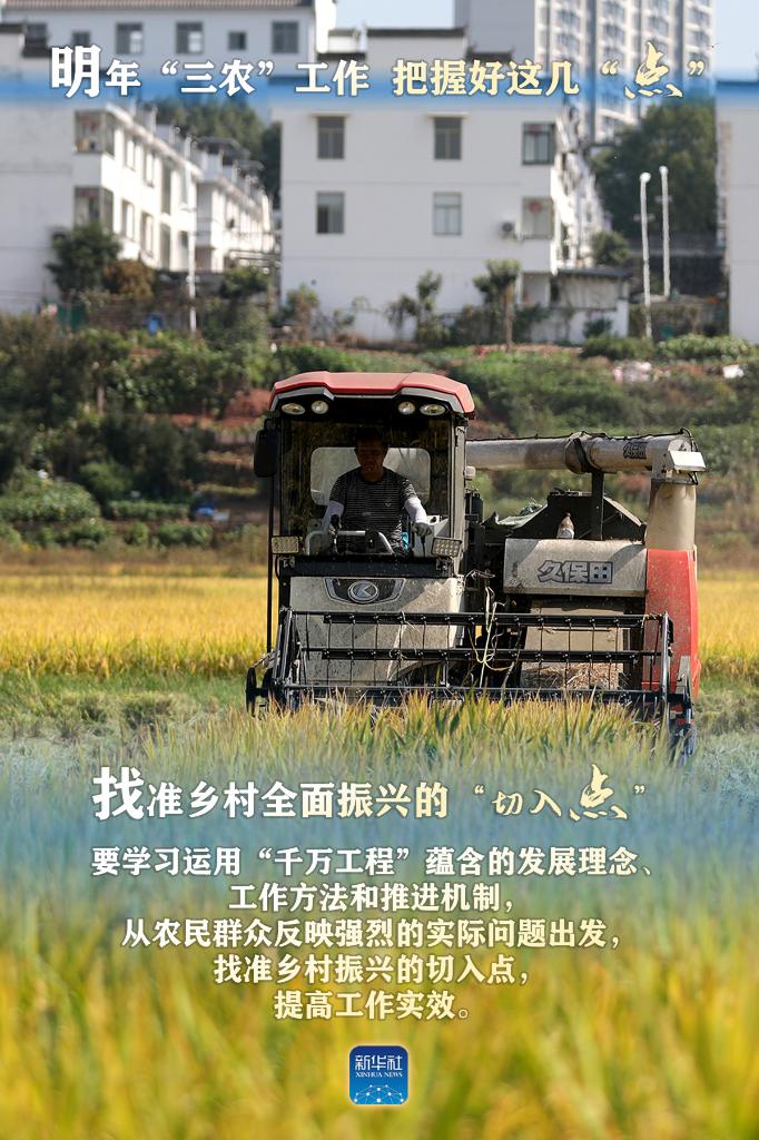 明年“三農(nóng)”工作，這幾個(gè)“點(diǎn)”要把握好