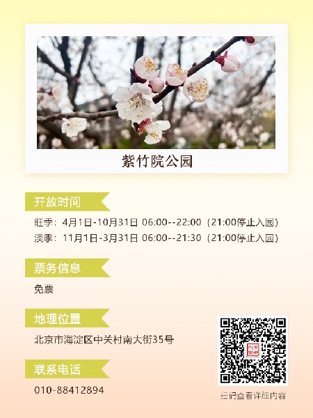 追花指南第六期！杏花雨 楊柳風(fēng) 北京最美的杏花在這里