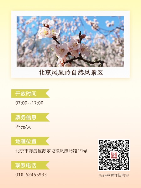 追花指南第六期！杏花雨 楊柳風(fēng) 北京最美的杏花在這里