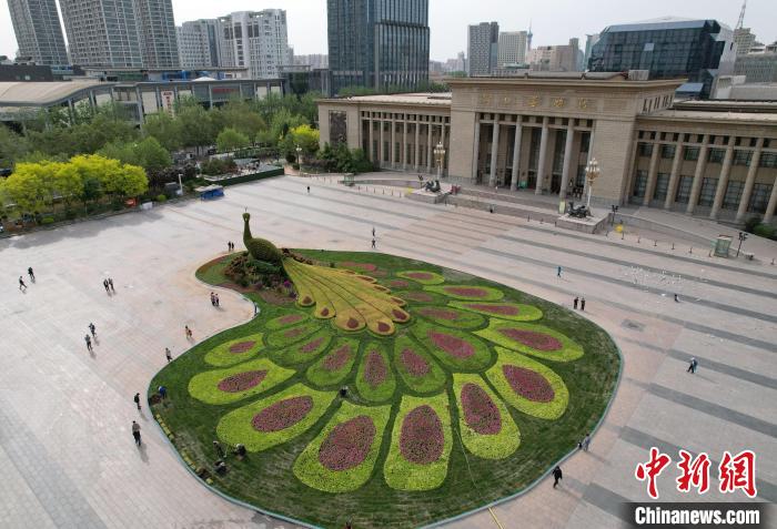 圖為航拍花壇。(無人機照片) 翟羽佳 攝