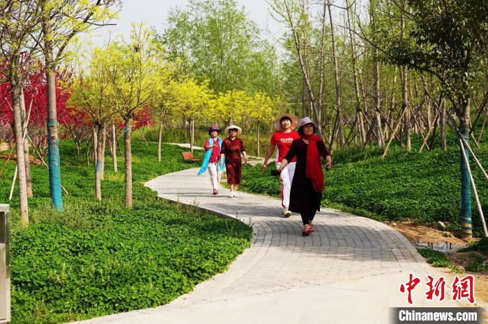 河北邢臺(tái):綠“鏈”串“珠”串起城市生態(tài)走廊