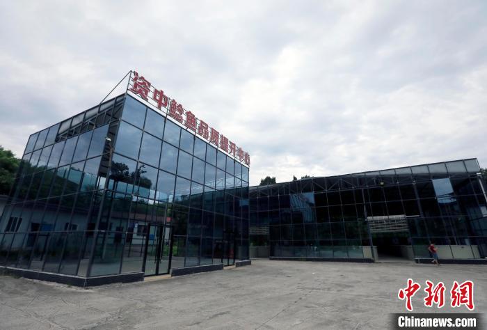 四川資中：“中國(guó)鯰魚之鄉(xiāng)”鯰魚游出致富路