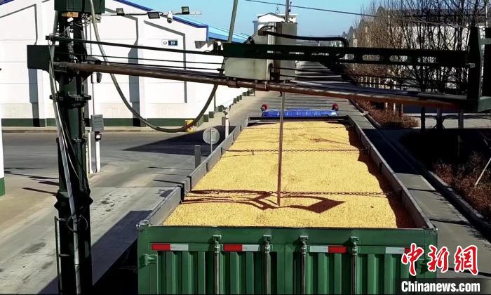探訪“大國(guó)糧倉”：糧食入住“智能空調(diào)房”舒適過四季