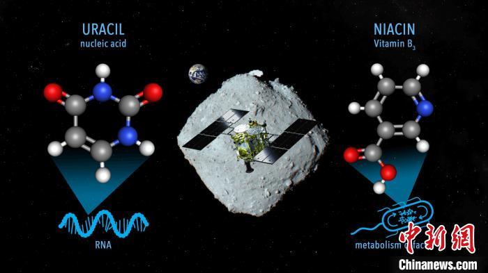 國際最新研究稱，近地小行星“龍宮”上發(fā)現(xiàn)尿嘧啶等核酸堿基