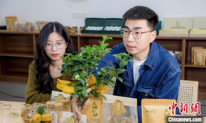 北山口村的佛手電商直播?！≈鬓k方供圖