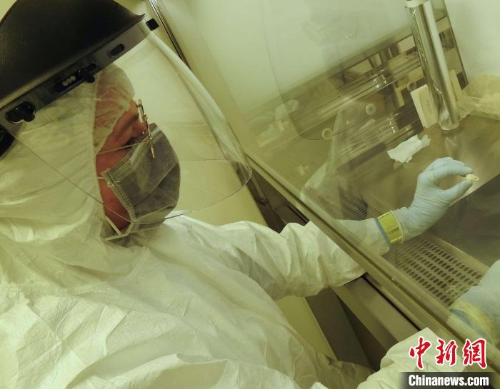 Elena Essel在凈室中處理鹿牙墜飾(圖片來自馬克斯·普朗克演化人類學研究所)?！∈┢樟指瘛ぷ匀?供圖