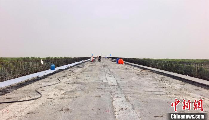 工作人員正在橋面上緊張有序地施工?！∈酚窠?攝