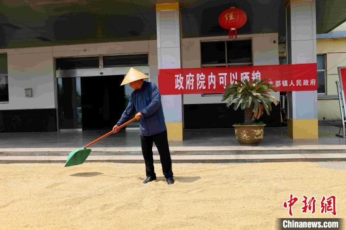村民在棗莊市嶧城區(qū)古邵鎮(zhèn)政府大院內(nèi)晾曬糧食?！『?　攝
