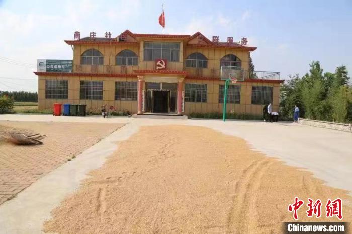農(nóng)民在邳莊鎮(zhèn)尚莊村黨群服務(wù)中心大院里曬糧?！≠Z萌 攝