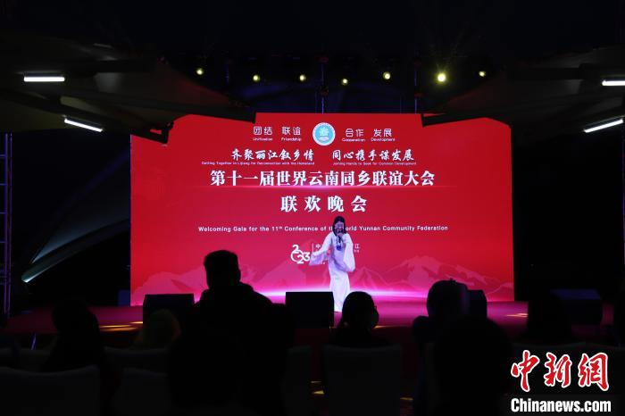 圖為第十一屆世界云南同鄉(xiāng)聯(lián)誼大會(huì)舉辦聯(lián)歡晚會(huì)?！〈抻澜?攝