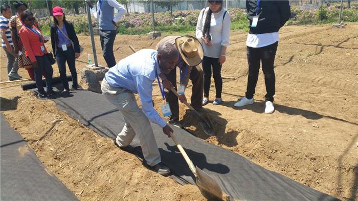 孫釗現(xiàn)場(chǎng)指導(dǎo)農(nóng)民耕種。受訪者供圖