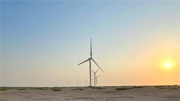 圖為阿聯(lián)酋風(fēng)電示范項(xiàng)目在阿布扎比薩爾巴尼亞斯島上的風(fēng)電場(chǎng)。 中國(guó)電建供圖