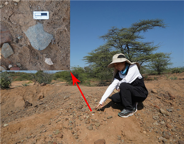 地層中的勒瓦婁哇石片。中肯聯合考古隊供圖