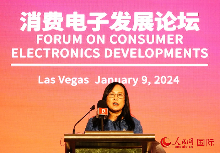 中國(guó)機(jī)電產(chǎn)品進(jìn)出口商會(huì)副會(huì)長(zhǎng)劉春致辭。人民網(wǎng)記者 鄧圩攝