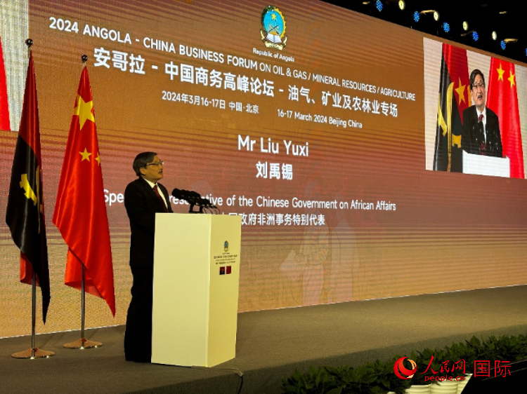 中國政府非洲事務(wù)特別代表劉禹錫。人民網(wǎng)記者 張榮攝