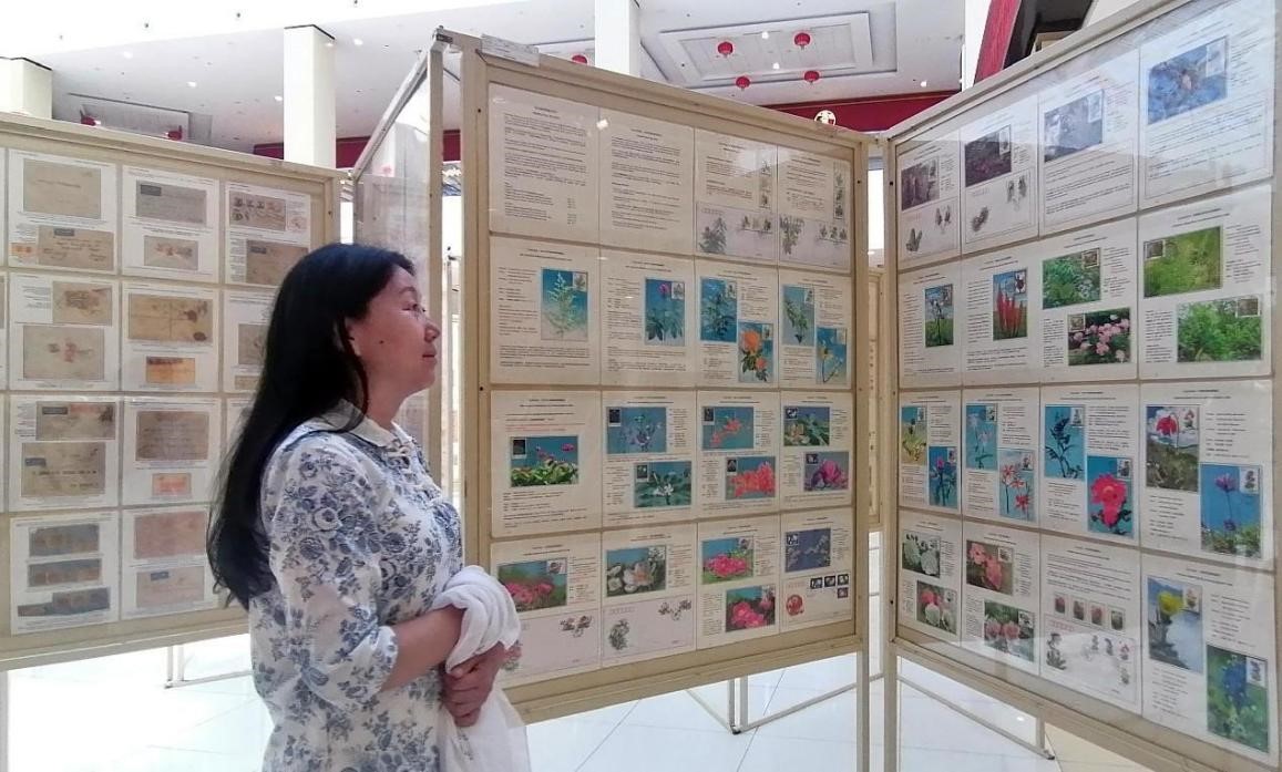 藥用植物極限片展覽場景。第七屆阿聯(lián)酋集郵展主辦方供圖