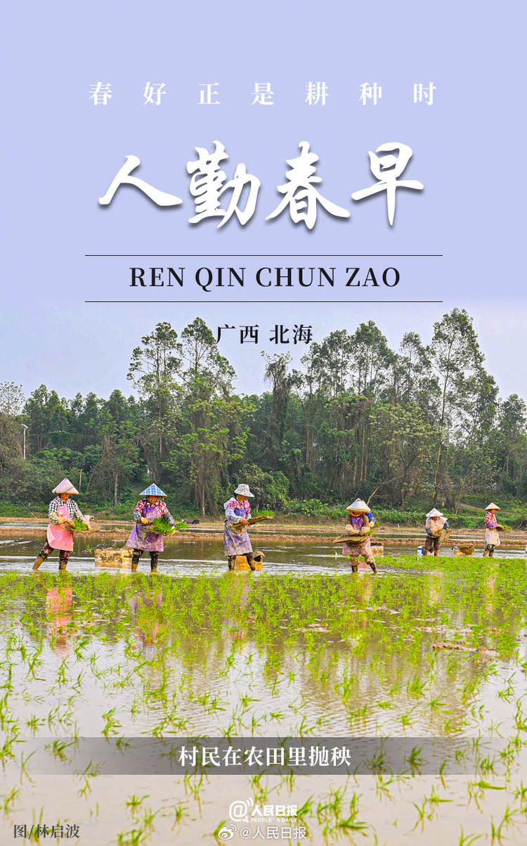 生機盎然！用課本封面打開春耕畫卷