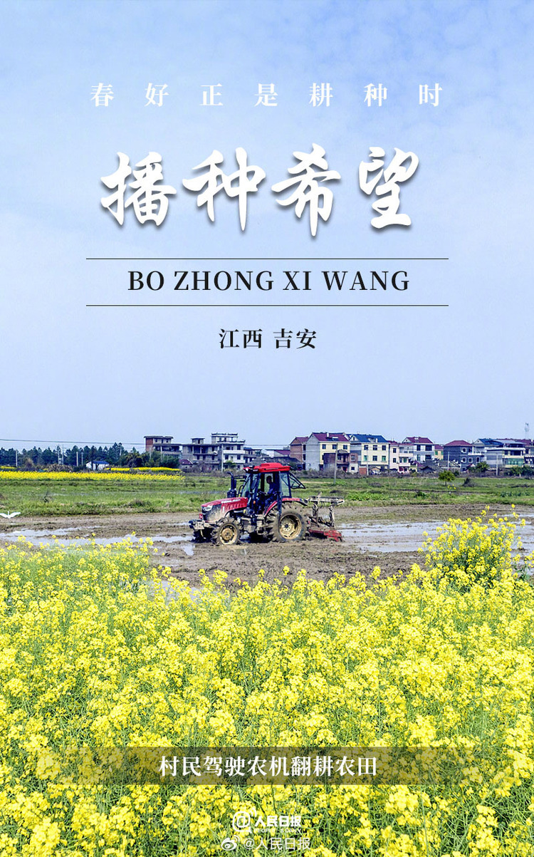 生機盎然！用課本封面打開春耕畫卷