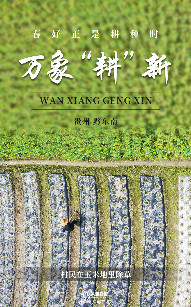 生機盎然！用課本封面打開春耕畫卷