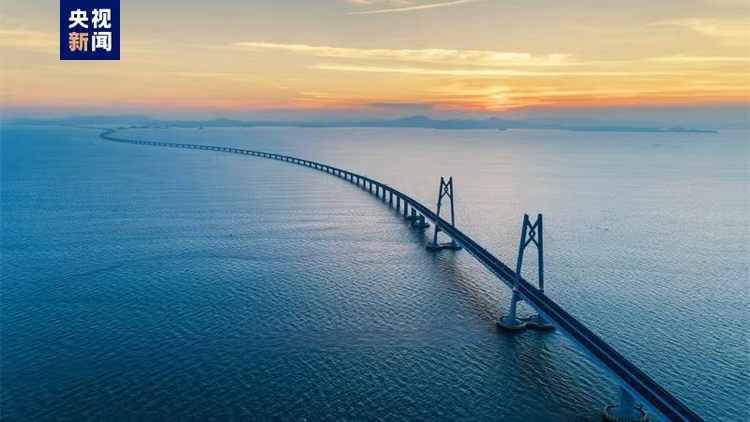 灣區(qū)速評(píng)丨多項(xiàng)數(shù)據(jù)破紀(jì)錄 人才何以在灣區(qū)成潮？