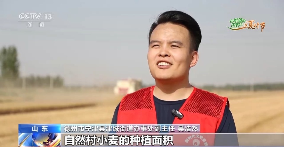 “三夏”生產(chǎn)思維導(dǎo)圖安排上了！還有政府大院等你來“曬”