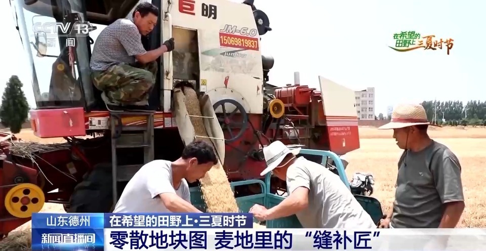 “三夏”生產(chǎn)思維導(dǎo)圖安排上了！還有政府大院等你來“曬”