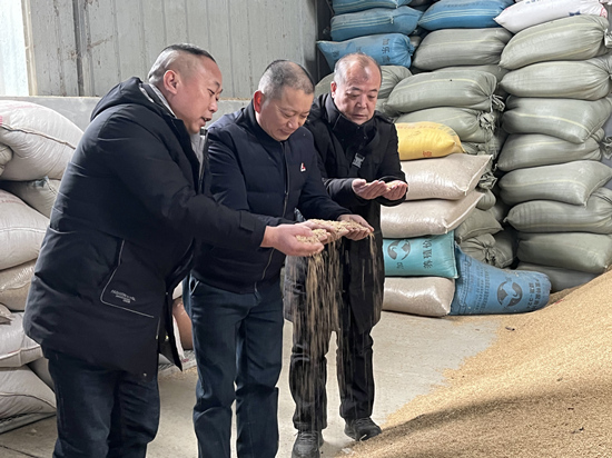 桃江種糧大戶與農(nóng)村農(nóng)業(yè)局技術(shù)人員正在查看春耕種子情況。受訪單位供圖