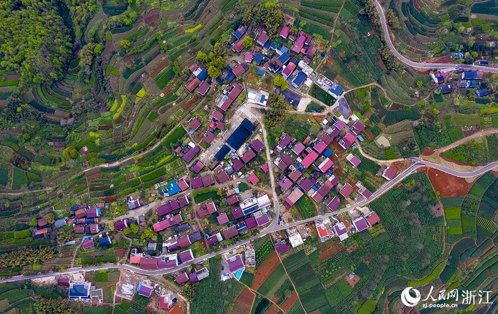 4月1日，紹興市新昌縣東茗鄉(xiāng)下巖貝村風光秀麗，茶園旖旎。人民網(wǎng) 章勇濤攝