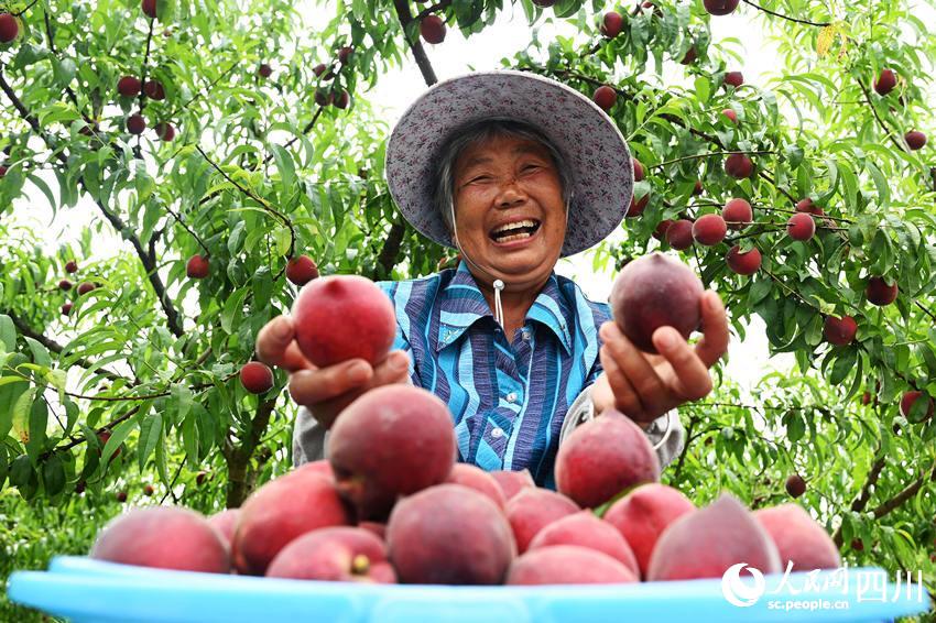 豐收的喜悅。蘭自濤攝