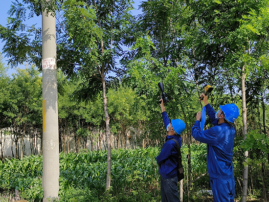 工作人員進(jìn)行紅外測溫及超聲波局部放電檢測。 王亮攝