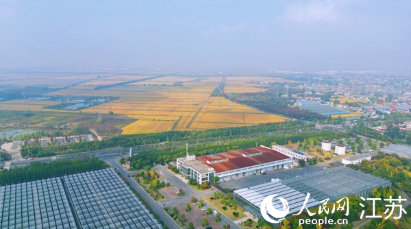 位于幸福街道的“萬頃良田”。人民網(wǎng)記者 王繼亮攝