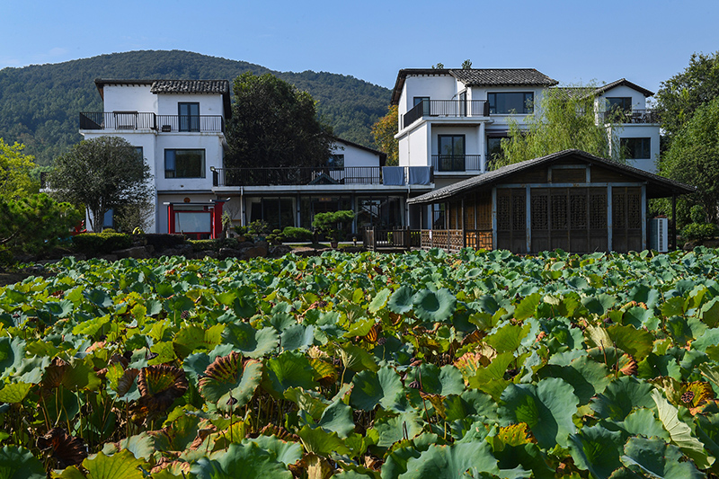 雨悅山房負(fù)責(zé)人原來在馬達(dá)加斯加打理酒店，之所以“從馬達(dá)加斯加到肥東”，源于對家鄉(xiāng)民宿前景看好。吳芳攝