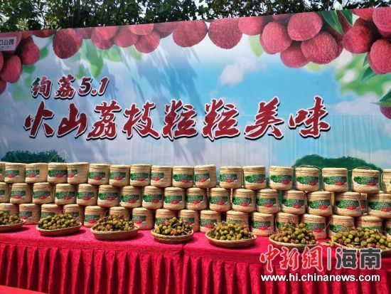 圖為活動現(xiàn)場。蘇桂除 攝