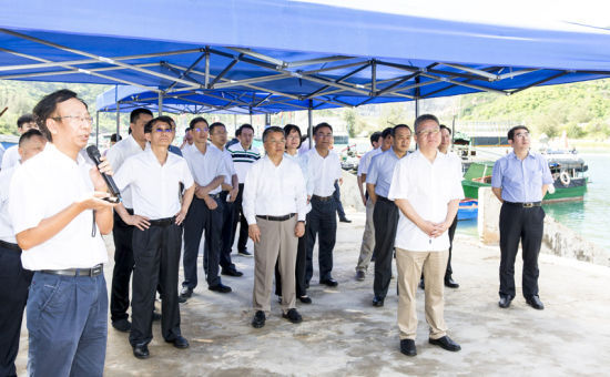 2019年6月21日上午，省長(zhǎng)沈曉明率省政府班子成員在三亞鐵爐港調(diào)研項(xiàng)目規(guī)劃建設(shè)情況。海南日?qǐng)?bào)記者 宋國(guó)強(qiáng) 攝
