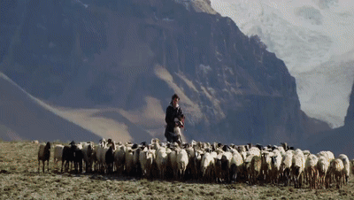 你看了嗎？藏語版《日光之城》“含金量”還在上升！