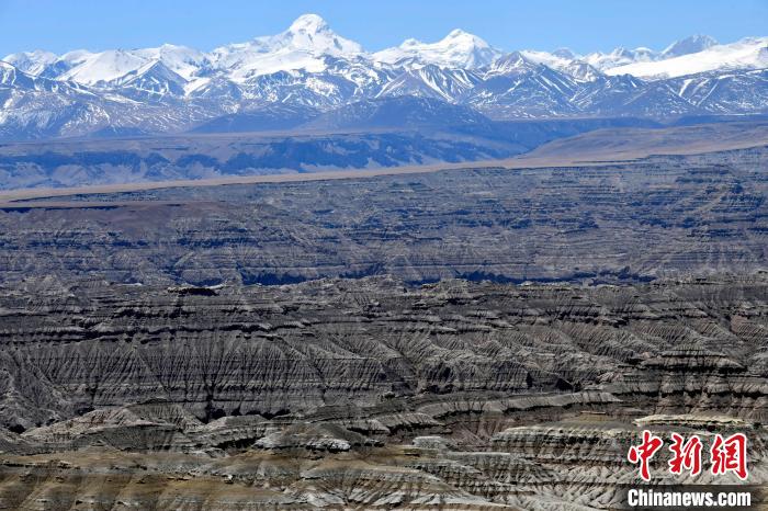 4月5日，西藏阿里札達(dá)土林?！±盍?攝