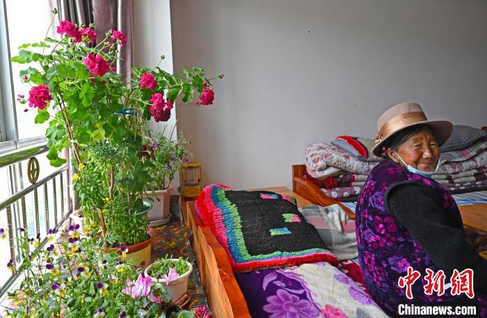 圖為曲松縣特困人員集中供養(yǎng)中心老人德吉卓嘎與她的花。　趙朗 攝