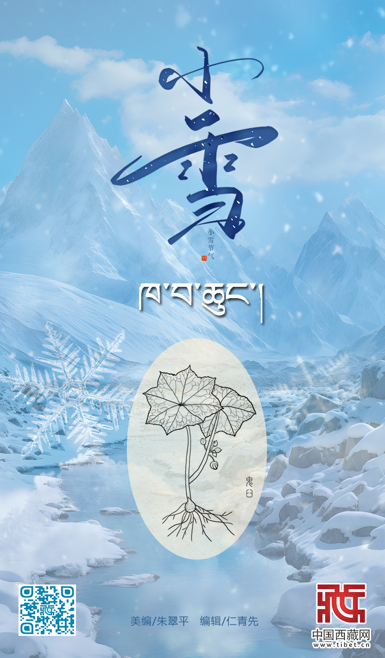 小雪.jpg