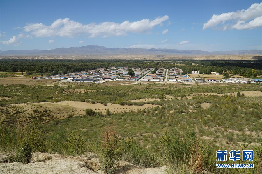 （決戰(zhàn)決勝脫貧攻堅(jiān)·圖文互動）（2）高原鄉(xiāng)鎮(zhèn)沙珠玉 治沙斗貧成“綠?！薄嗪Ｊ」埠涂h沙珠玉鄉(xiāng)采訪見聞