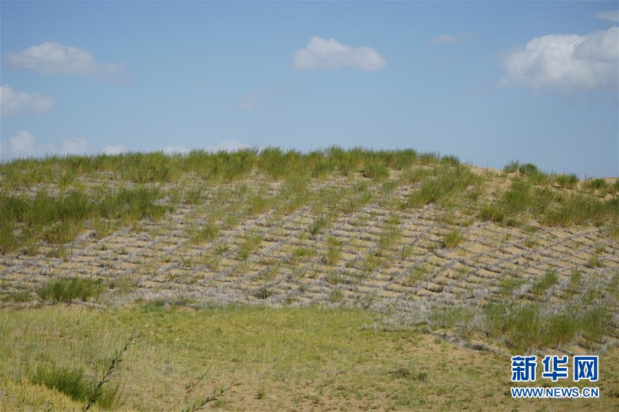 （決戰(zhàn)決勝脫貧攻堅(jiān)·圖文互動）（3）高原鄉(xiāng)鎮(zhèn)沙珠玉 治沙斗貧成“綠?！薄嗪Ｊ」埠涂h沙珠玉鄉(xiāng)采訪見聞