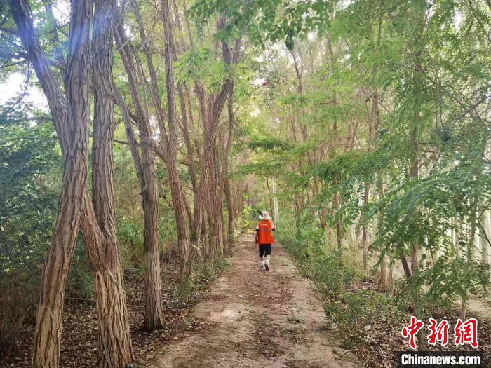 戈壁灘上的護林員：以前風吹睜不開眼，現(xiàn)在滿眼皆綠色