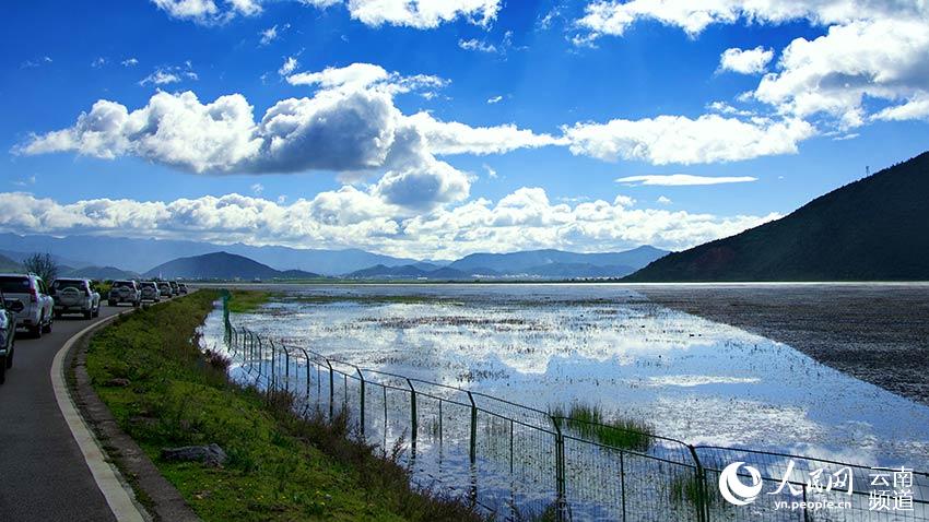 納帕海濕地。呂昊辰攝
