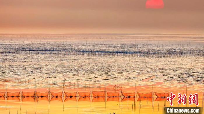 江蘇鹽城被譽(yù)為金灘銀蕩、魚米之鄉(xiāng)?！←}城市委宣傳部供圖