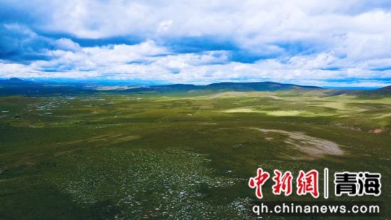 圖為長江南源沼澤濕地。李江寧攝