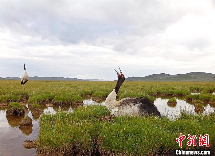 青海護(hù)衛(wèi)“中華水塔”守護(hù)“青海藍(lán)”
