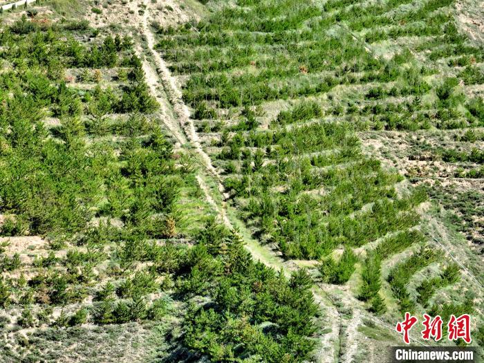 航拍建行青海省分行綠化區(qū)?！∑钤鲚?攝