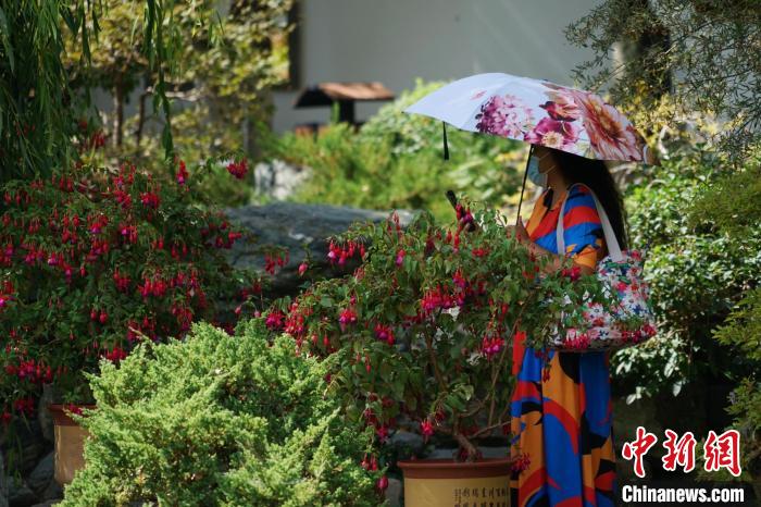 圖為市民在西寧園林植物園內(nèi)賞花拍照?！●R銘言 攝