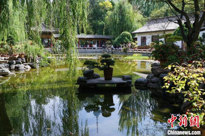 圖為西寧園林植物園秋日風(fēng)景別有韻味。　馬銘言 攝