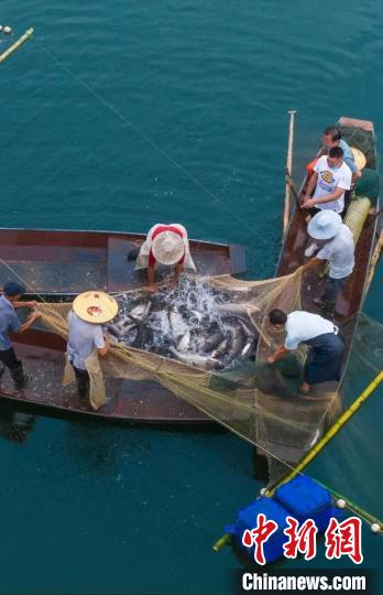 捕魚現(xiàn)場。　主辦方供圖